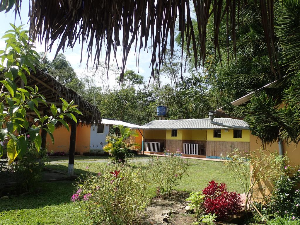 Hostal Henrry'S Hotel Mindo Luaran gambar